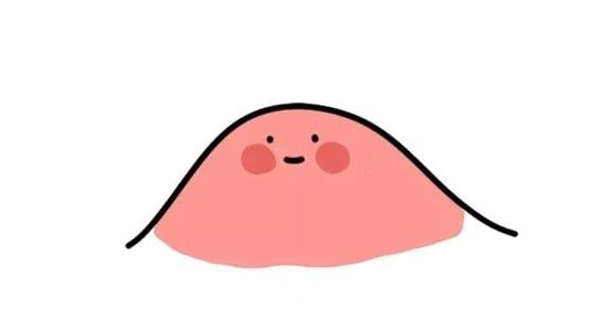 额头上青春痘和内脏有关系吗?